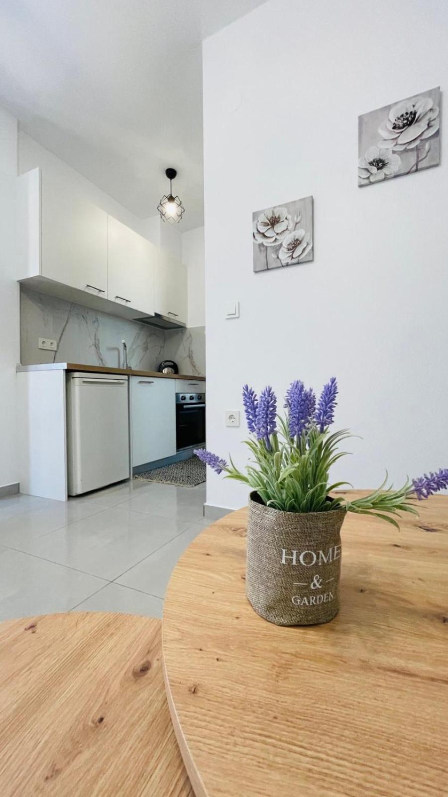 Apartment Athina